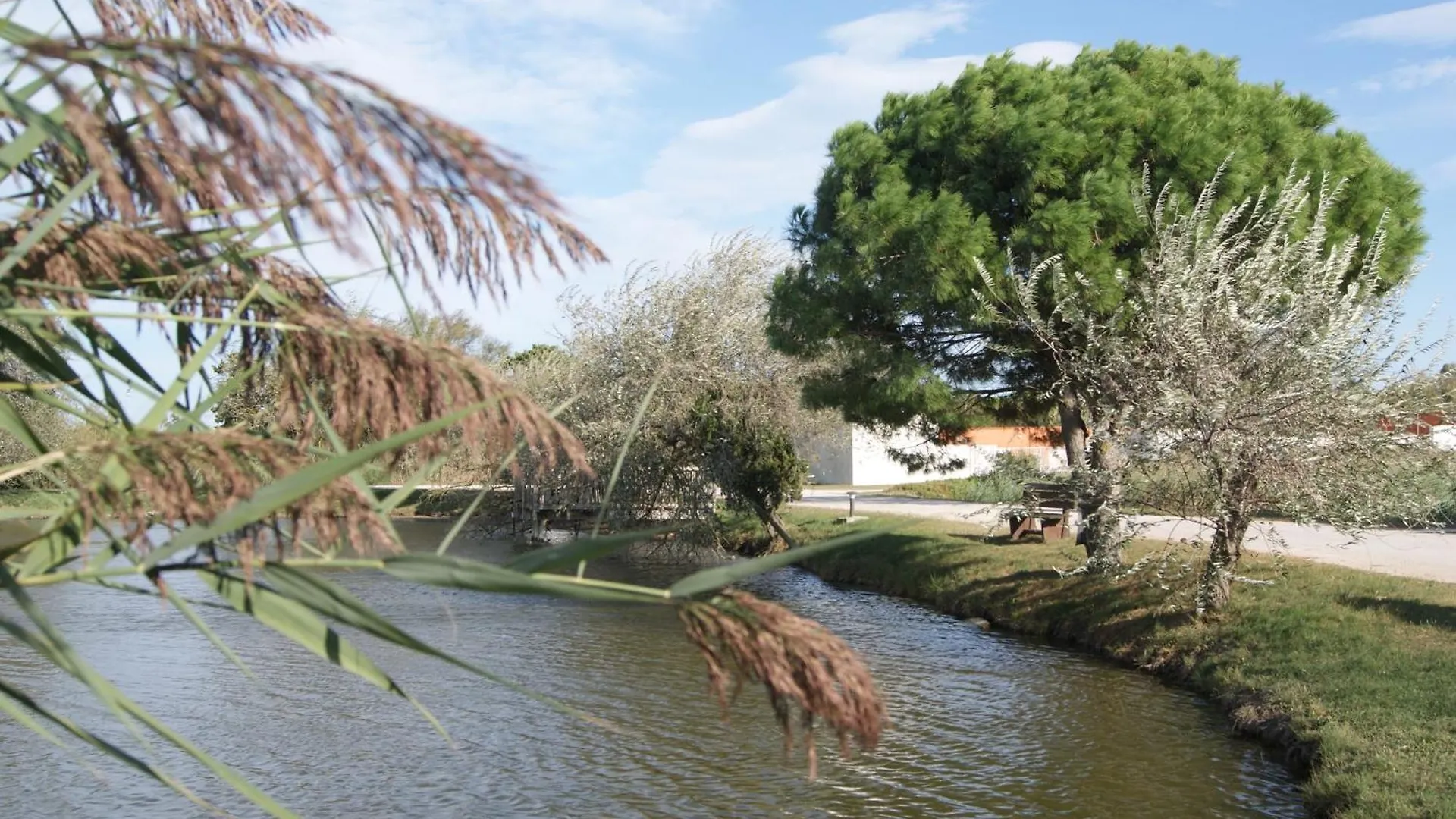 Les Rizieres Hotel Saintes-Maries-de-la-Mer