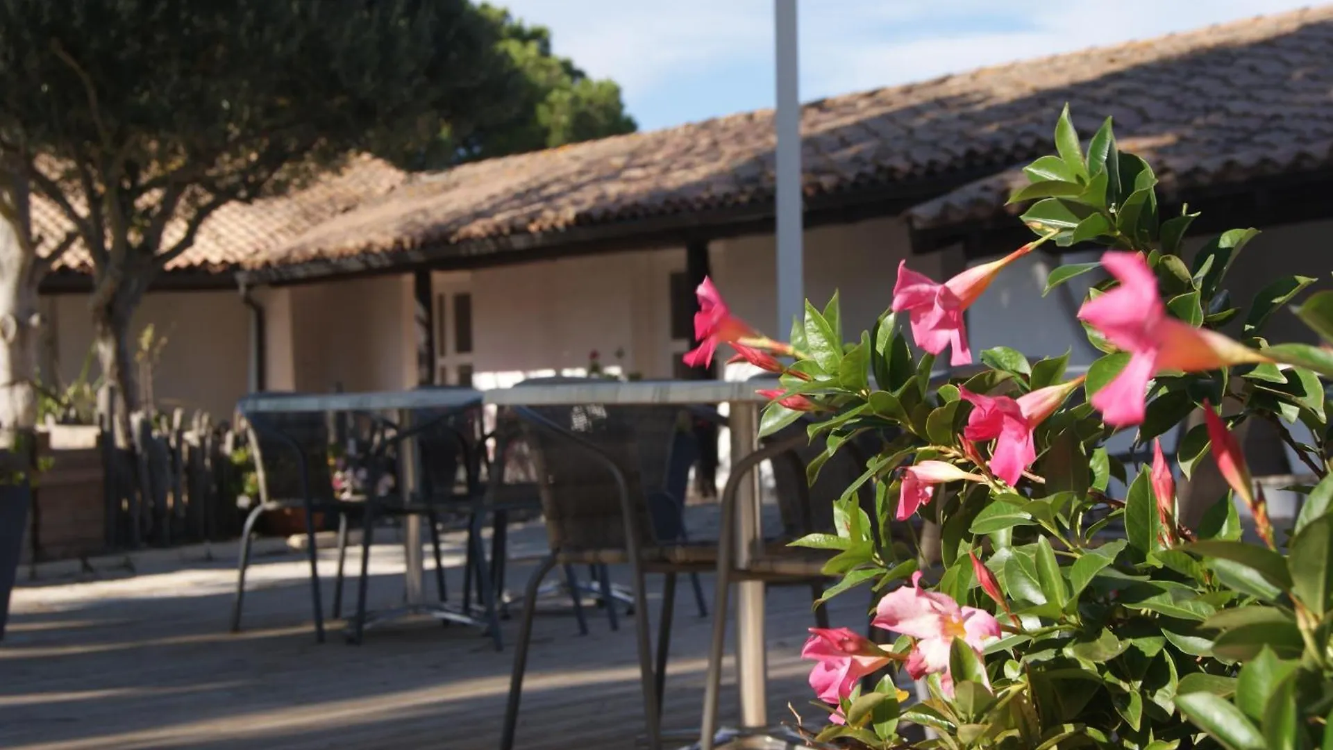 Les Rizieres Hotel Saintes-Maries-de-la-Mer